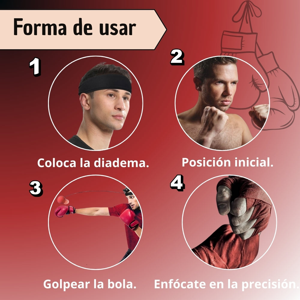 Bola Pelota Entrenamiento De Boxeo