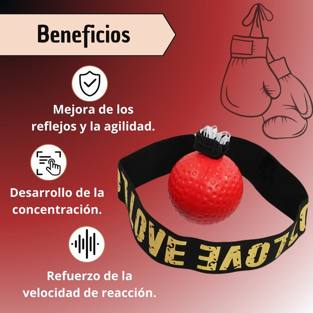 Bola Pelota Entrenamiento De Boxeo