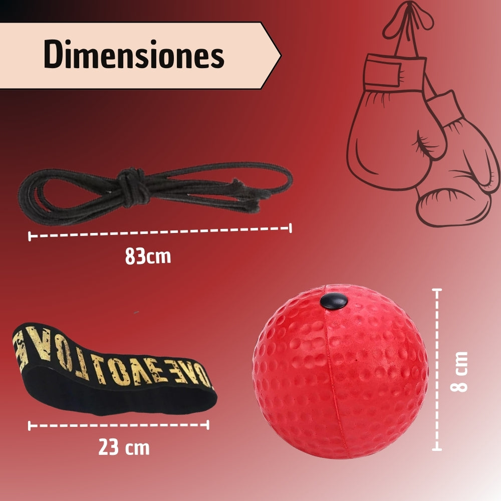 Bola Pelota Entrenamiento De Boxeo